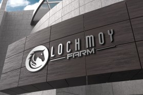 Loch Moy Farm entry by Sa_Shamjet