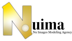 NUIMA entry by ankitsmart63