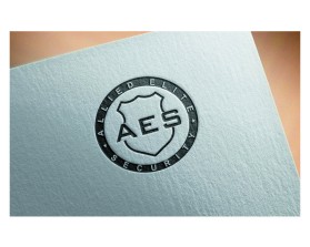 Allied Elite Security entry by Niels
