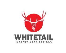 Whitetail Energy Services LLC entry by 765