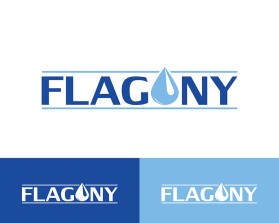 Winning entry: Flagony entry by VG