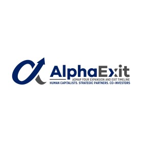 AlphaExit - Roadmap Your Expansion and Exit Timeline entry by wellbeing