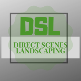 Direct Scenes Landscaping entry by Abhaysingh4real