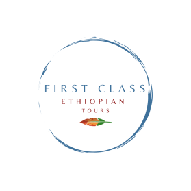 First Class Ethiopian Tours entry by Am That Creative