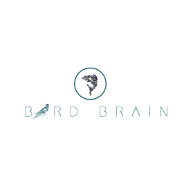 Bird Brain entry by Am That Creative