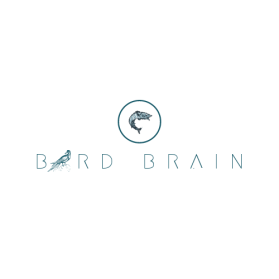 Bird Brain entry by Am That Creative