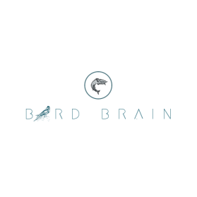 Bird Brain entry by Am That Creative