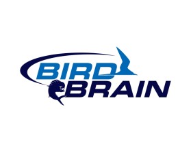 Bird Brain entry by mr74