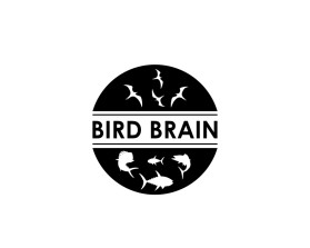 Bird Brain entry by angeldzgn