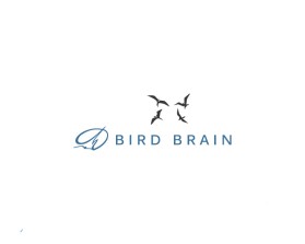 Bird Brain entry by Nil