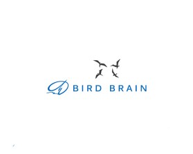 Bird Brain entry by Nil