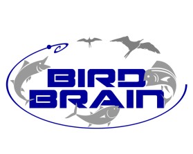 Bird Brain entry by PERCYMAN