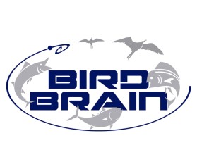 Bird Brain entry by PERCYMAN