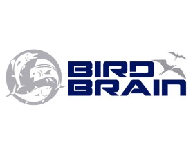Bird Brain entry by PERCYMAN
