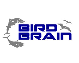 Bird Brain entry by PERCYMAN