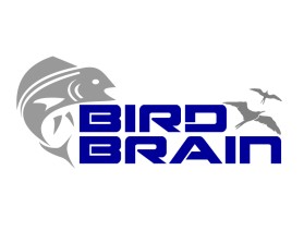 Bird Brain entry by PERCYMAN