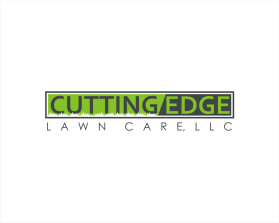Cutting Edge Lawn Care LLC entry by dogeco