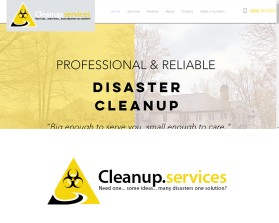 Cleanup.services entry by arvin