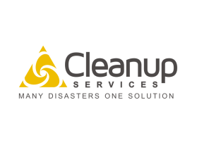 Cleanup.services entry by pingpong