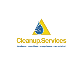 Cleanup.services entry by PINOYPRIDESIGN