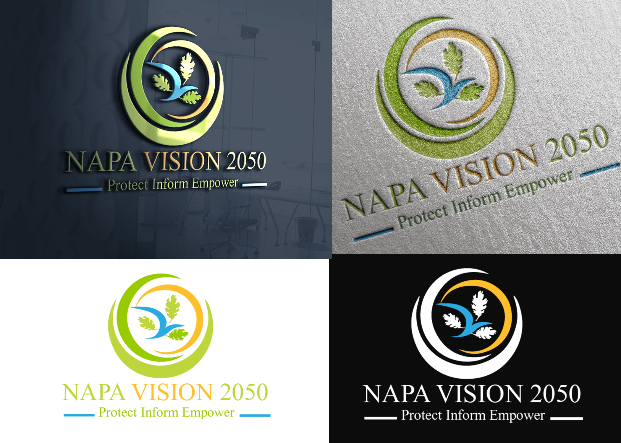 Logo Design for Napa Vision 2050