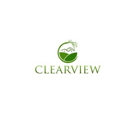 Clearview entry by Mihaela Costilov