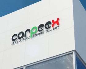 Carpeex entry by andrelopesdesigner