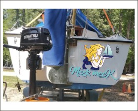 Logo Design entry 1716675 submitted by MartenVisser to the Logo Design for Meek Meek run by Meekinstokes