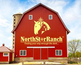 North Star Ranch  entry by FactoryMinion