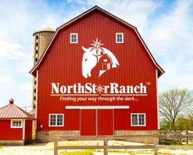 North Star Ranch  entry by FactoryMinion