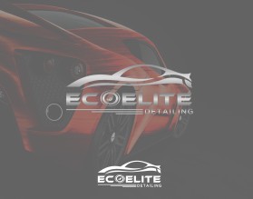 EcoElite Detailing entry by fancy