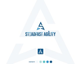 Steadfast Agility entry by malangdesign