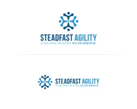Steadfast Agility entry by Amit1991