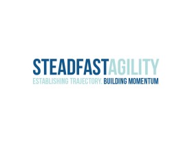 Steadfast Agility entry by quimcey