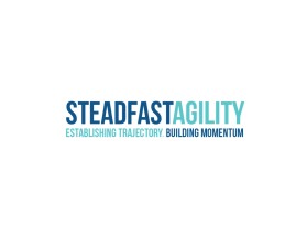 Steadfast Agility entry by quimcey