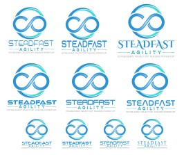 Winning entry: Steadfast Agility entry by JBsign