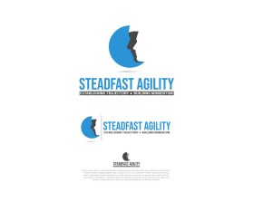 Steadfast Agility entry by pentool