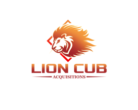 Lion Cub Acquisitions entry by Ethan