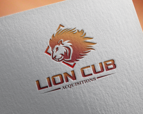 Lion Cub Acquisitions entry by Ethan