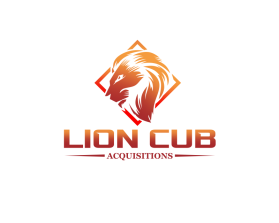 Lion Cub Acquisitions entry by Ethan