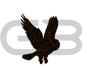 GhostBird entry by KiesJouwStijl
