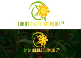 LANA'I OHANA TROPICALS&trade;  entry by muhammad williams
