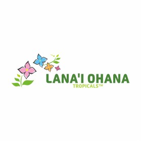 LANA'I OHANA TROPICALS&trade;  entry by KHILMI FUADUL AUFA