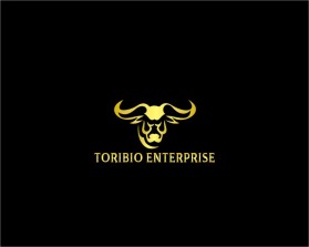 Toribio enterprise  entry by Don Bosco Jliteng W.W.A