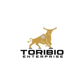 Toribio enterprise  entry by Arohim Arohim