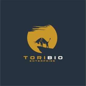 Toribio enterprise  entry by Arohim Arohim