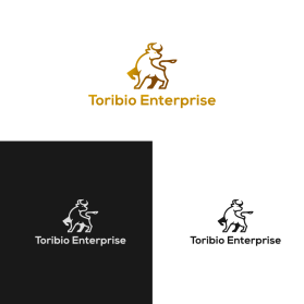 Toribio enterprise  entry by Doni nurdarma