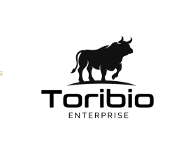 Toribio enterprise  entry by Andr&eacute; Lopes Batista