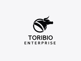 Toribio enterprise  entry by Arya Rumiel