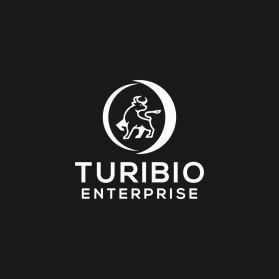 Toribio enterprise  entry by Doni nurdarma